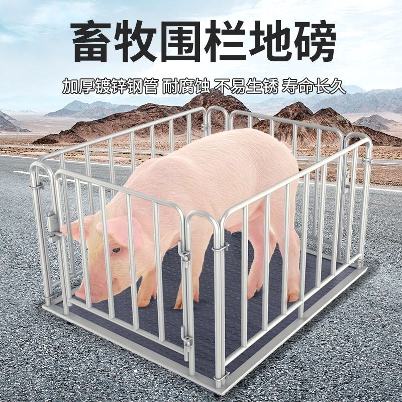 耀华地磅秤加f厚0-3吨地磅防抖防控无线工厂物流5吨称猪牛家用磅