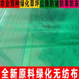 草坪绿化无纺布园林山体公路护坡操场球场植草籽覆盖育苗种绿色布