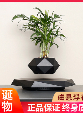 磁悬浮摆件盆栽植物小花盆创意装饰办公室桌面摆件三八妇女节礼物