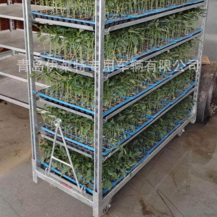 厂家直销荷兰花车,花卉层车,花园工具台车, 拉板网育苗车