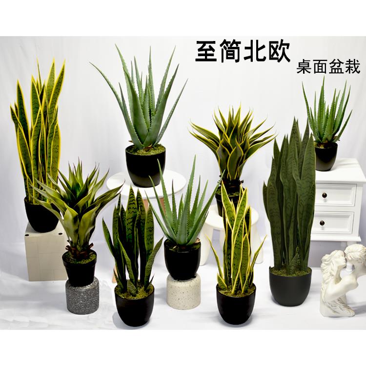 北欧仿真虎皮兰芦荟盆栽假龙舌尾兰绿植物盆景橱窗装饰摆件样板房