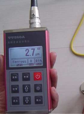 提供 防腐层测厚仪 TT260AF10/F5