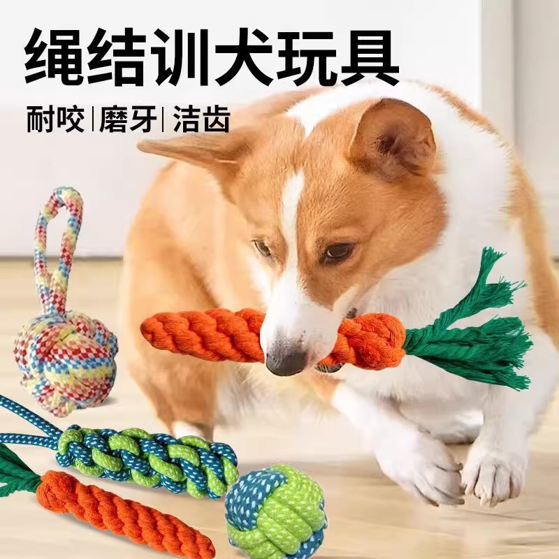 宠物狗狗互动玩具磨牙棒耐咬泰迪比熊幼犬绳结玩具小型犬宠物玩具