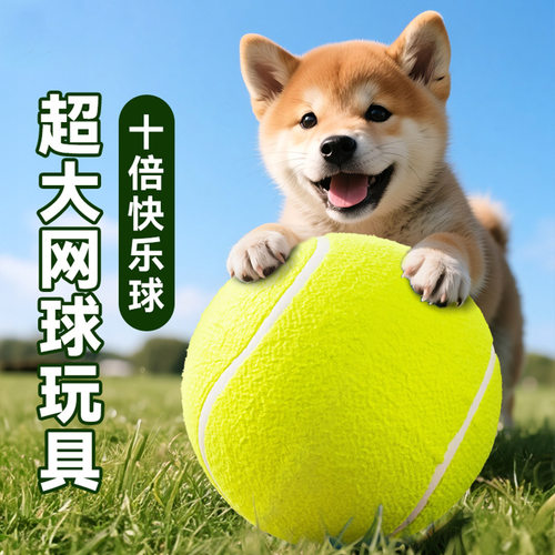 狗狗玩具球自嗨解闷宠物边牧金毛柯基耐咬球磨牙网球大型犬
