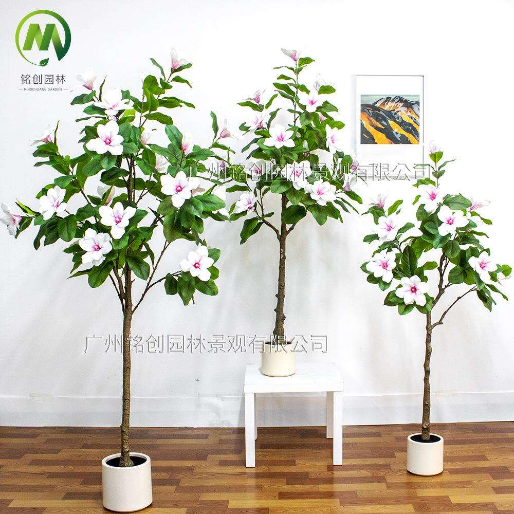 高级绿植仿真玉兰树盆栽室内假树客厅大型落地玉兰花树装饰摆件