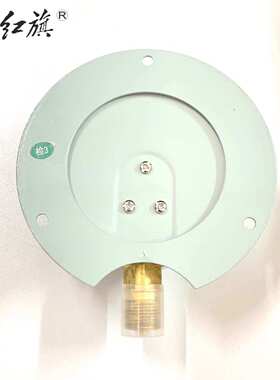 红旗仪表Y-100T径向带后边压力表 油压水压气压真空表 船用压力表