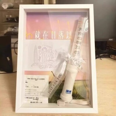 孙燕姿演唱会荧光棒物料周边收纳