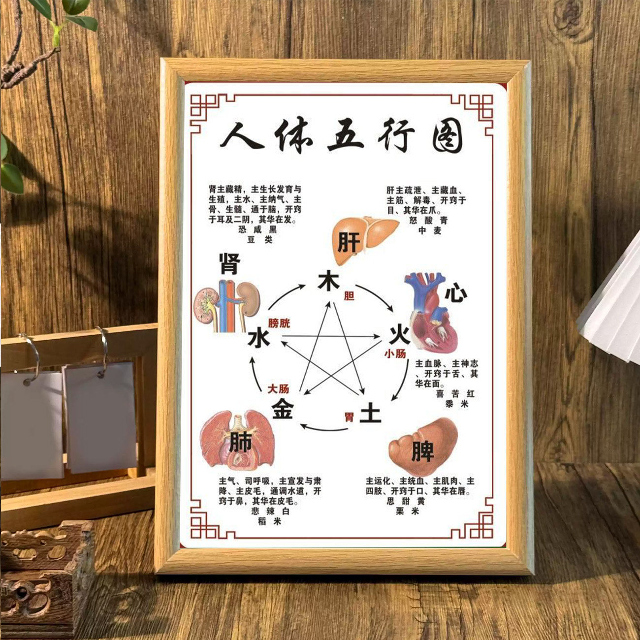 中国风人体五行生克相框摆件