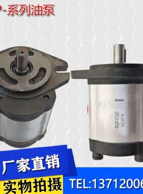 K FP40RNRN1614F31030 齿轮油泵32K6 430 FRG FRN3-34RN-F F-RNRN