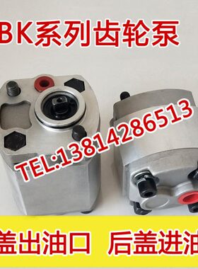 1816F4C2. FB F.齿轮油泵2.2.F F 313.26.8 F6-FK F. F2. F57 F