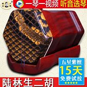 制作小叶紫檀五专业演奏二胡 紫檀二胡生星陆林 非洲