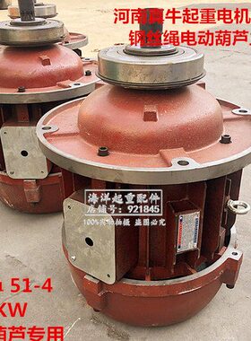 电机转子4锥形D10牛Z河南-51W电动葫芦真k电机T主起升电机起重 13