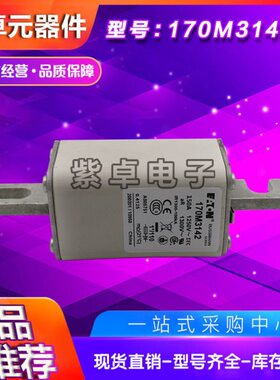 170M3169 170M3170 170M3171 170M3172 170M3173伊顿巴斯曼保险丝