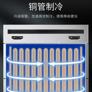 四门冰箱商用冷藏加冷冻大容量冷柜商用四六门冰柜展示柜46门冷柜