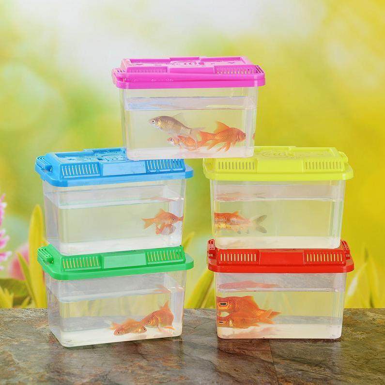 小型手提鱼缸乌龟缸带盖塑料养龟专用小饲养盒宠物运输,宠物/宠物食品及用品,爬宠缸/箱,淘宝优惠券,粉丝福利购,淘宝优惠卷