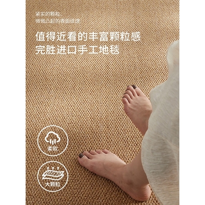 防水地毯客厅免打理免洗可擦沙发卧室床边飘窗猫抓板入户地垫拍照