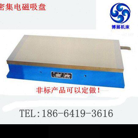密集型电磁吸盘 电磁盘 电磁吸盘 磨床电磁吸盘 XM11-300*680