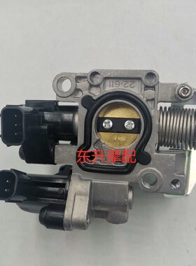 适用节9-SD-R19R新10节流阀气075-国四X11门0H101919T大洲