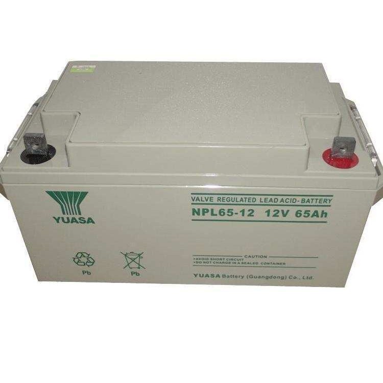 日本汤浅蓄电池np150-12,12v150ah免维护储能电瓶其他,鲜花速递/花卉仿真/绿植园艺,其它园艺用品,淘宝优惠券,粉丝福利购,淘宝优惠卷