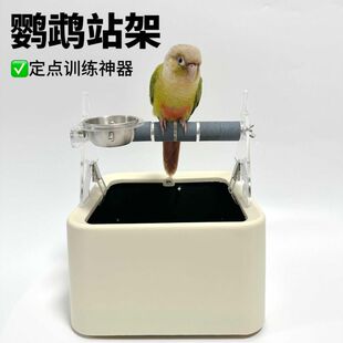 拉便便鹦鹉垃圾桶站架鹦鹉站架鹦鹉站架垃圾桶鹦鹉定点训练