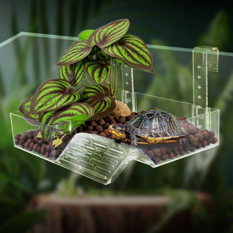 亚克力乌龟晒台挂壁式鱼龟混养火焰斑点龟高水位浮岛晒背休息台,宠物/宠物食品及用品,其它水族用具设备,淘宝优惠券,粉丝福利购,淘宝优惠卷