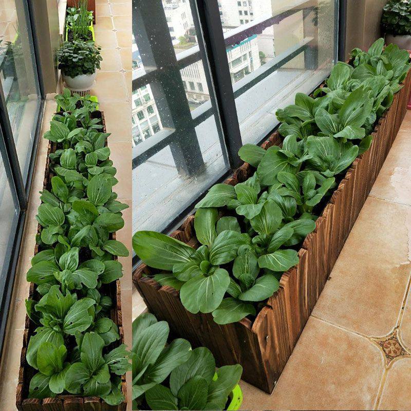 户外碳化防腐木花箱庭院种植箱阳台种菜盆长方形花盆加厚实木花槽,鲜花速递/花卉仿真/绿植园艺,花盆,淘宝优惠券,粉丝福利购,淘宝优惠卷