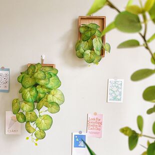 仿真手感绿植墙上装饰垂钓植物壁挂奶油文艺挂墙壁挂式