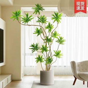 百合竹仿真绿植室内盆栽大型仿生植物假树轻奢客厅落地摆件仿真花