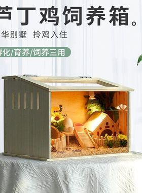 芦丁鸡宠物仓鼠饲养箱笼子大别墅小屋造景观保温杨木多层板箱