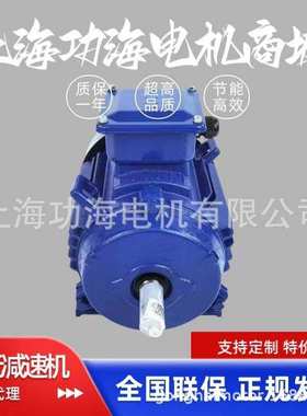 TECO东元电动机 东元马达 TEV3系列 GB3/IE3能效 AEEV3N040010YWE