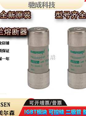 罗兰FR22AM69V12 FR22AM69V16 FR22AM69V20保险丝厂价供应 请咨询