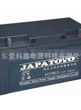 JAPATOYO东洋蓄电池6GFM50 免维护12V50AH 铅酸太阳能直流屏电池