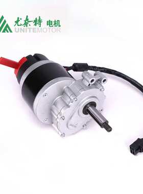 MY1016Z尤奈特轮椅车电机二级减速有刷低速永磁直流电动机250W24V