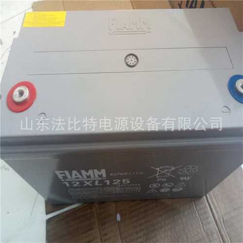 FIAMM铅酸蓄电池12XL60免维护12V60Ah 武汉非凡蓄电池