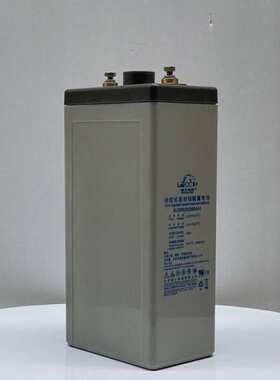 LEOCH理士蓄电池DJ300 2V300AH铅酸免维护直流屏船舶铁路光伏发电