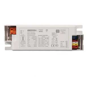 电源厂家室内家居灯具电源WiZ APP语音控制灯光42W双色温智控电源