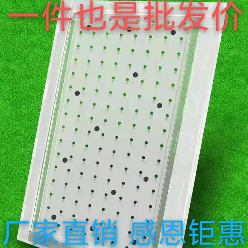 育苗盘播种器穴盘播种机白菜甘蓝西兰花生菜莴笋辣椒蔬菜育苗神器