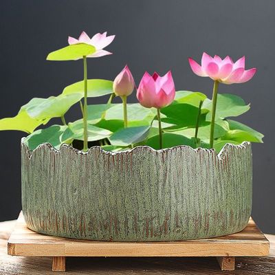 碗莲睡莲铜钱草花盆水仙盆无孔金钱陶瓷水养水培大号