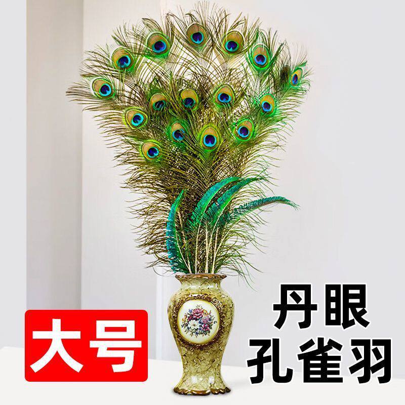 纯天然新孔雀羽毛手工精选大眼花瓶摆件玄关装饰DIY配件