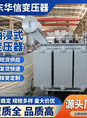 S22油浸式变压器 315KVA/10KV变压器