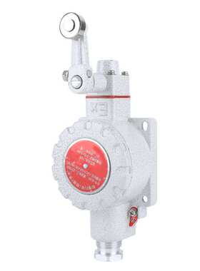 防爆行程开关DLXK防爆限位开关LX5--Z型L型B型D型H型N型防爆开关