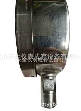 红旗仪表耐震不锈钢压力表YTN100BF 高精度1.6级径向充油表 60MPA