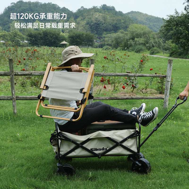 摆摊夜市小推车便携式户外野营车折叠手推车营地拉车小拖车露营车