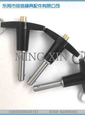 T型不锈钢快卸销替代杰根斯手柄快锁插销MS17985直径16/18/19/20