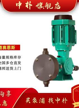 意大利DOSENCE道赛恩斯HDLH全系列机械隔膜计量泵 价格面议