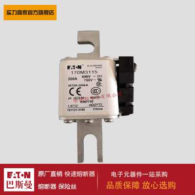 熔断器170M4110 170M4111 170M4112 170M4113 170M4114 170M4115