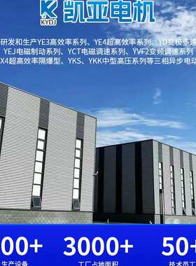 YE3 YE4 YL YZ YBX3 YBX4 YVP YCT YEJ YVF2 多种型号加工电动机