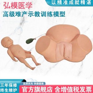 弘模HOM/F4高级难产示教训练模型助产模型接生难产示教模型孕妇分