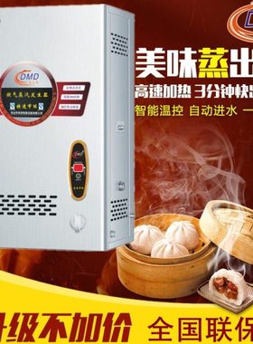 多美多B-RZQ-50壁挂式商用燃气蒸汽机挂墙式节能蒸汽发生器蒸包炉