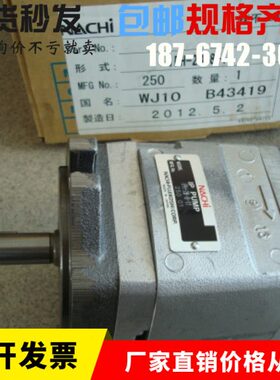 20二HH10-IP定B不13泵-4---进口-16油泵B203泵越B3-20H量IP--IP